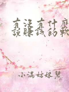 有没有什么写小说赚钱的软件
