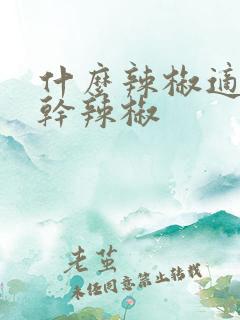 什么辣椒适合晒干辣椒