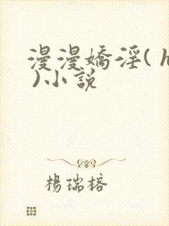 漫漫娇淫( h )小说
