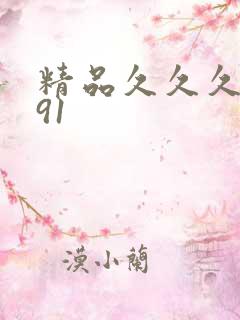 精品久久久久久91