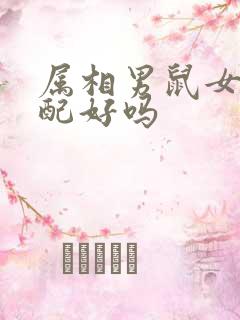 属相男鼠女马婚配好吗