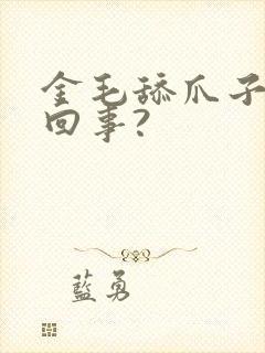 金毛舔爪子怎么回事?