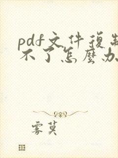 pdf文件复制不了怎么办