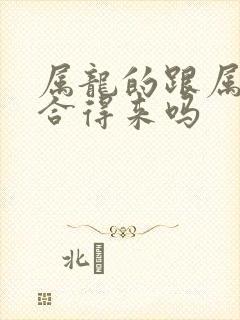 属龙的跟属马的合得来吗