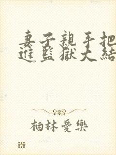 妻子亲手把我送进监狱大结局