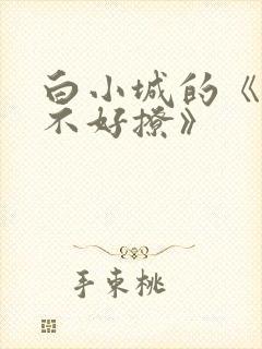 白小城的《侯爷不好撩》