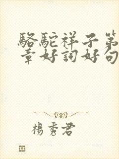 骆驼祥子第14章好词好句