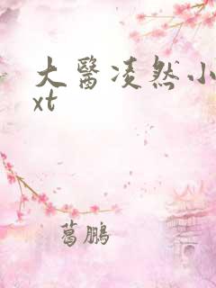 大医凌然小说txt