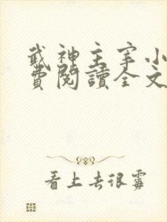 武神主宰小说免费阅读全文无弹窗
