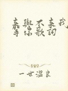 来与不来我都在等你歌词