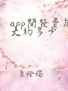 app开发费用大约多少