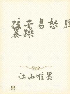 孩子易怒 脾气暴躁
