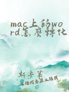 mac上的word怎么转化成pdf