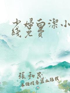 少妇白洁小说在线免费