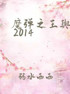 魔弹之王与战姬 2014