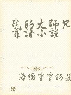 我的大师兄有点靠谱小说