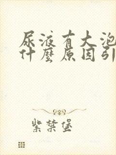 尿液有大泡泡是什么原因引起的