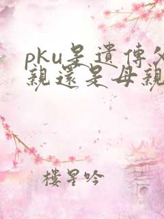 pku是遗传父亲还是母亲