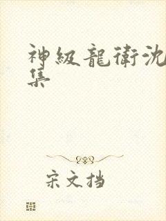 神级龙卫沈浪全集