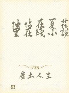 他站在夏花绚烂里在线小说