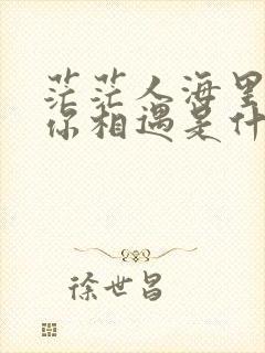 茫茫人海里我和你相遇是什么歌