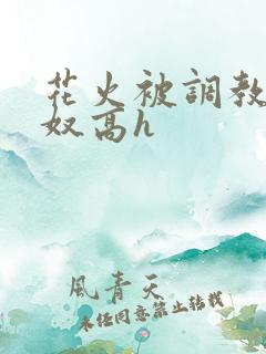 花火被调教成肉奴高h