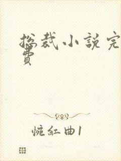 总裁小说完结免费