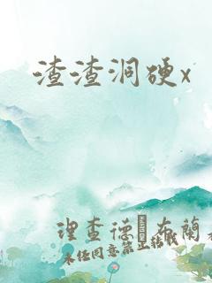 渣渣洞硬x