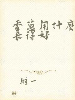 香葱用什么肥料长得好