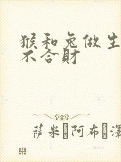 猴和兔做生意合不合财
