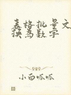 表格批量文本转换为数字