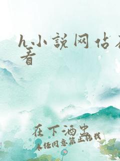 h小说网站在线看