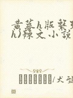 黄蓉h版系列(h)辣文小说