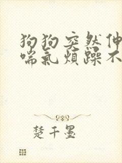 狗狗突然伸舌头喘气烦躁不安