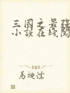 三国之最强霸主小说在线阅读