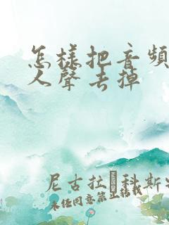 怎样把音频中的人声去掉