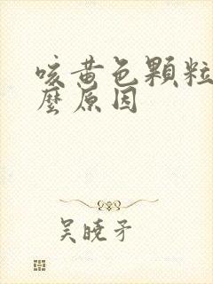 咳黄色颗粒痰什么原因