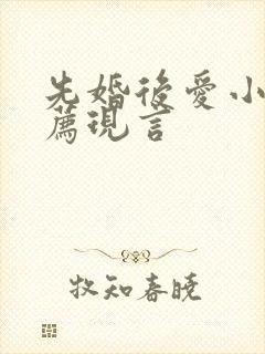 先婚后爱小说推荐现言