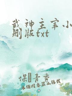 武神主宰小说未删版txt