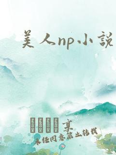 美人np小说