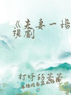 《夫妻一场》电视剧