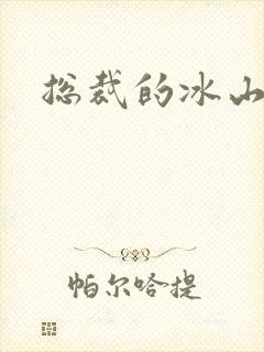 总裁的冰山老婆