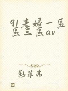 91老妇一区二区三区av