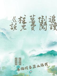 《校草倒追》小说免费阅读