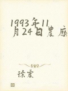 1993年11月24日农历是多少