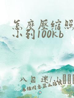 怎么压缩照片大小到100kb