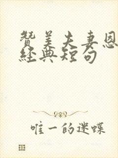 赞美夫妻恩爱的经典短句