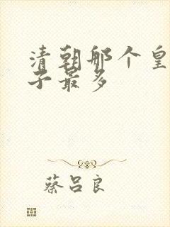 清朝那个皇帝妃子最多