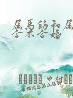 属马的和属鸡的合不合婚