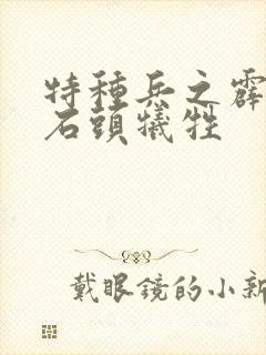 特种兵之霹雳火石头牺牲
